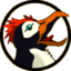 favicon.ico